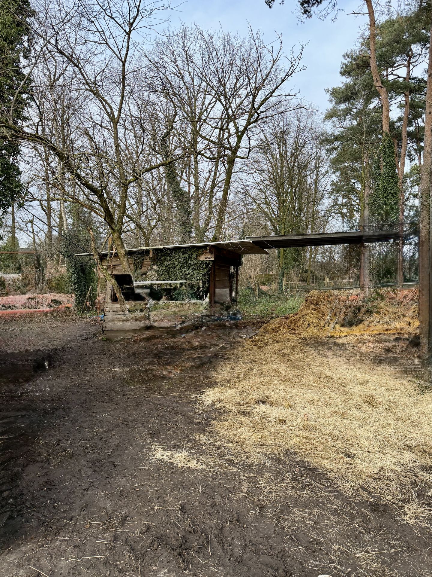 Bien Immobilier