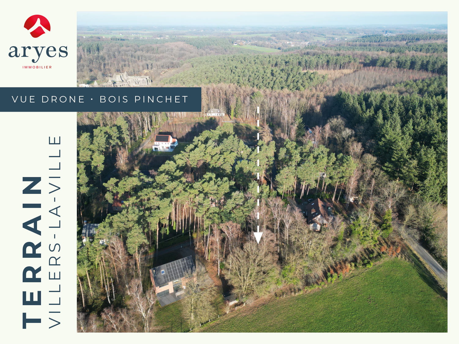 Bien Immobilier