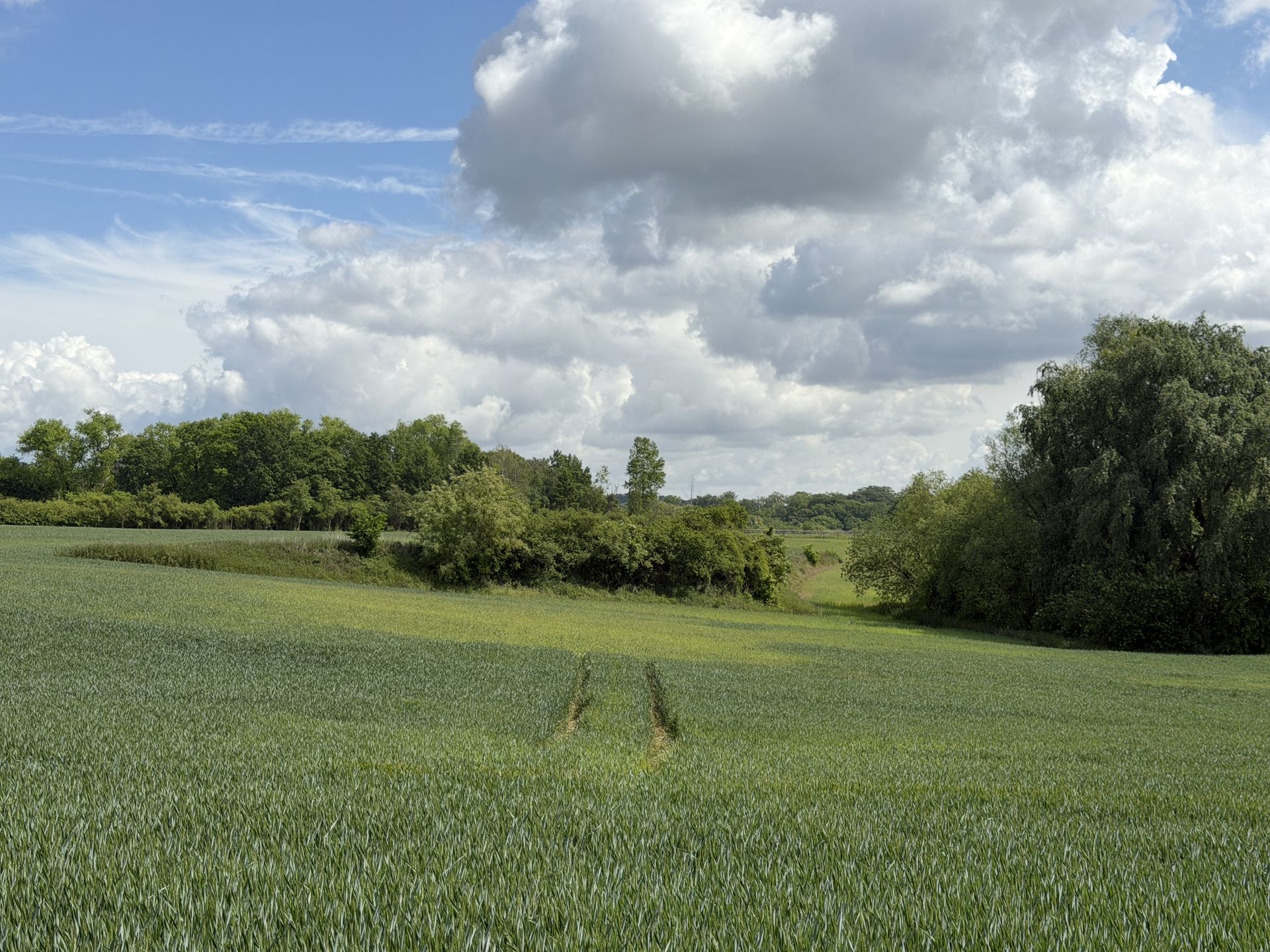 ...