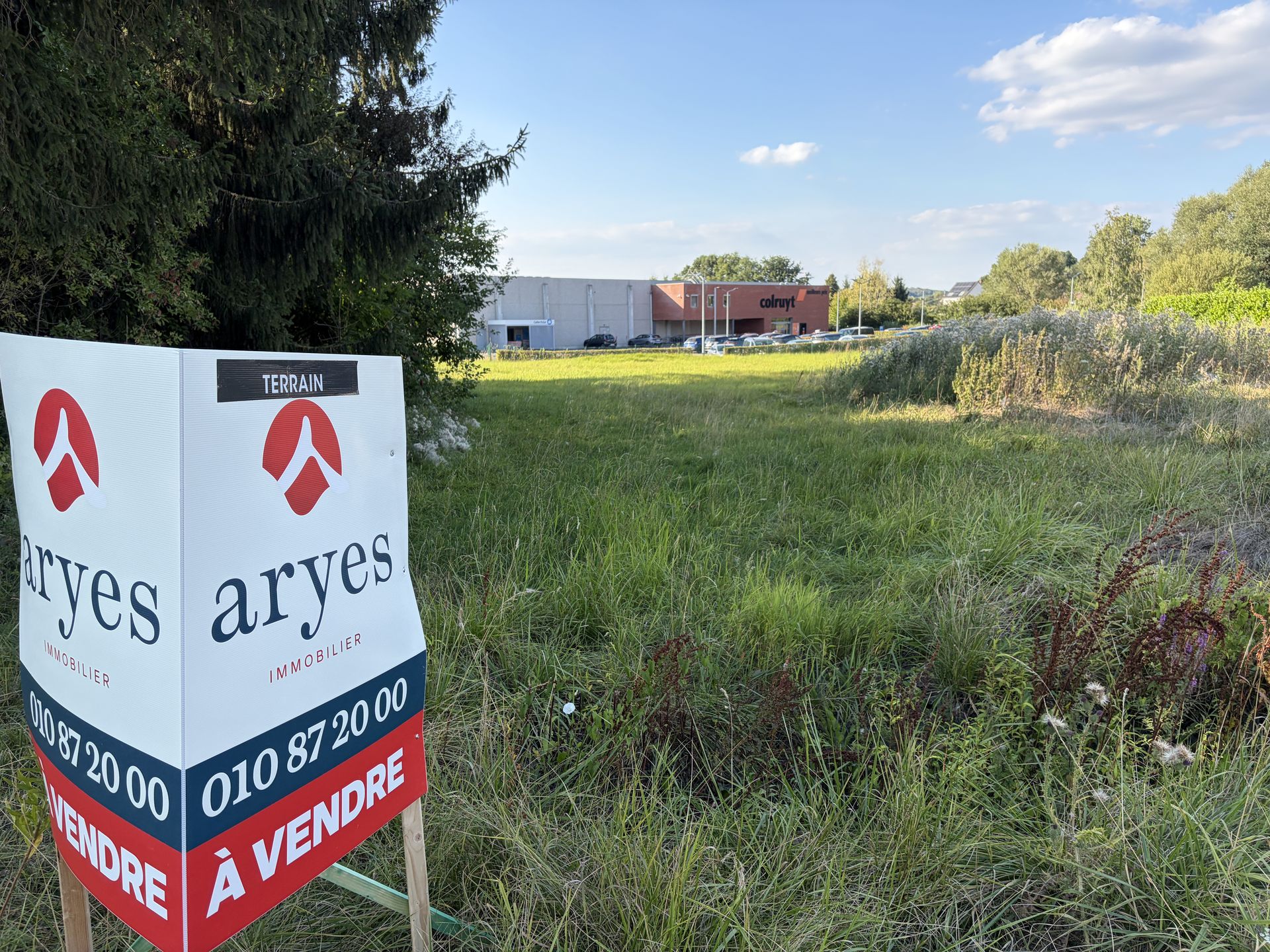 Bien Immobilier